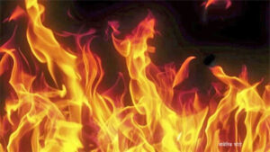 निजी स्कुलको बसमा आगलागी, विद्यार्थी सकुशल
