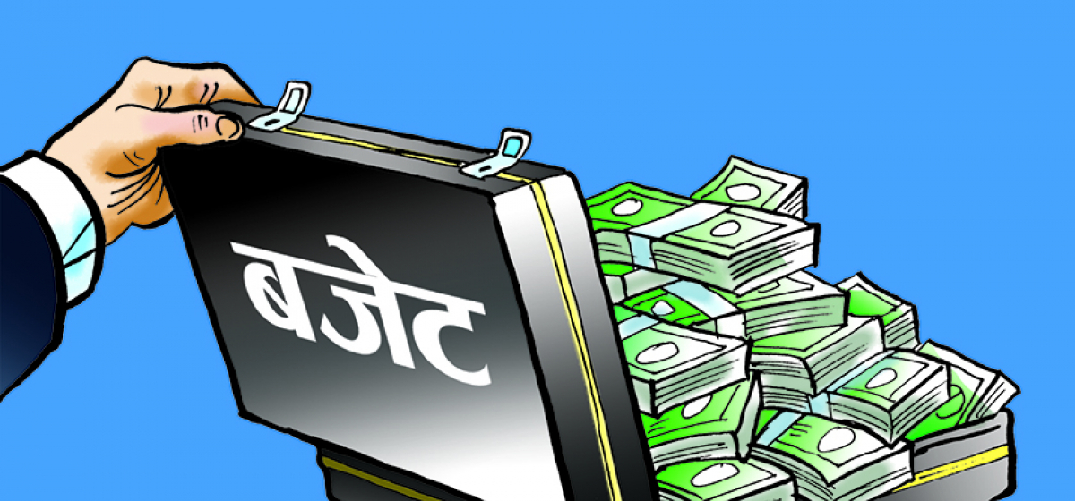 १४ प्रतिशत दलित समुदायलाई १ प्रतिशत बजेट !
