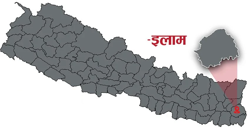 जङ्गली च्याउ खाँदा इलाम माङसेबुङमा दुई जनाको मृत्यु