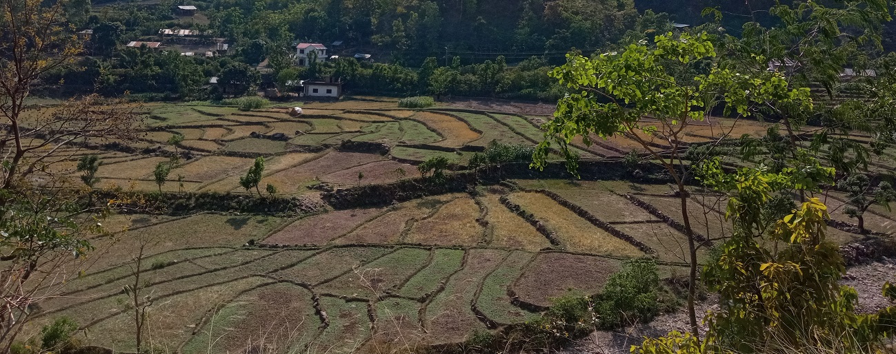 तुलसीपुरका केहि नागरिक अझै पनि सडक र बत्तीको पहुँचबाहिर