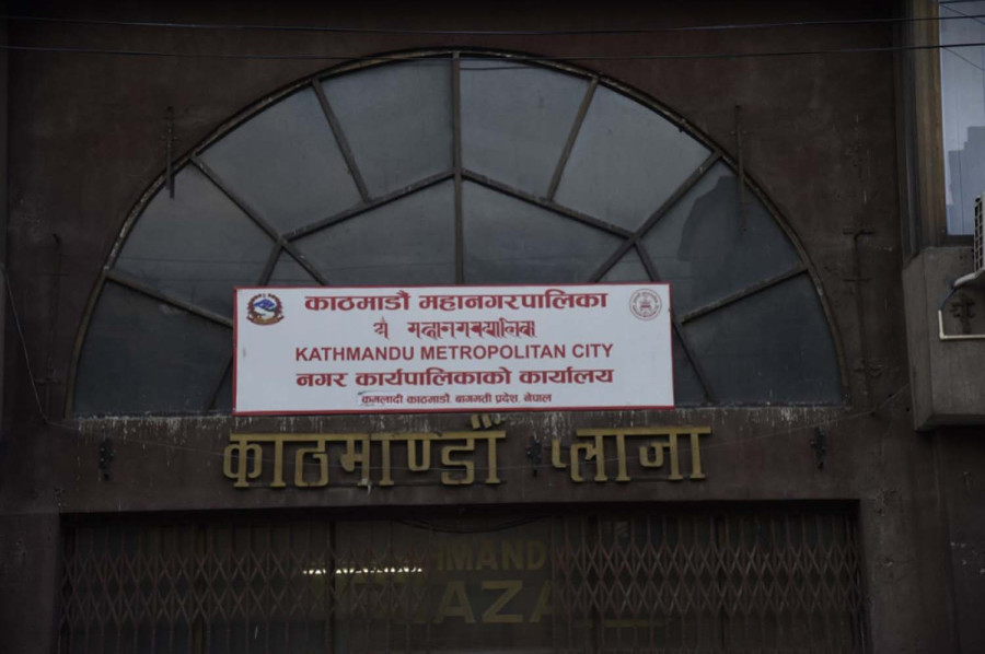 काठमाडौं महानगरमा विदेशी कुकुर दर्ता गर्न अब २ हजार रुपैयाँ लाग्ने