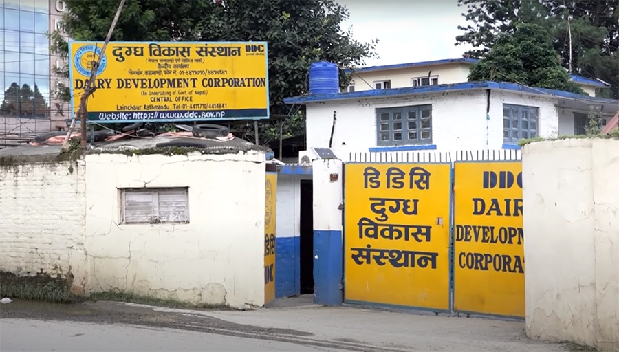 डीडीसी सुधारका लागि सरकारले जारी गर्‍यो ९ बुँदे निर्देशन