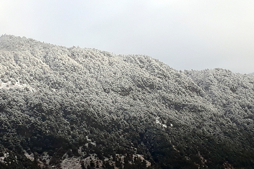 आजको मौसम : हिमाली र पहाडी भूभागमा वर्षा र हिमपातको सम्भावना
